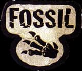 Fossil set image